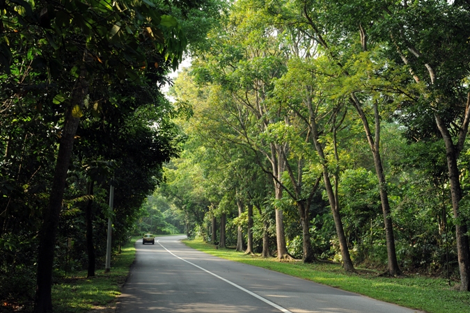 Lim Chu Kang Road