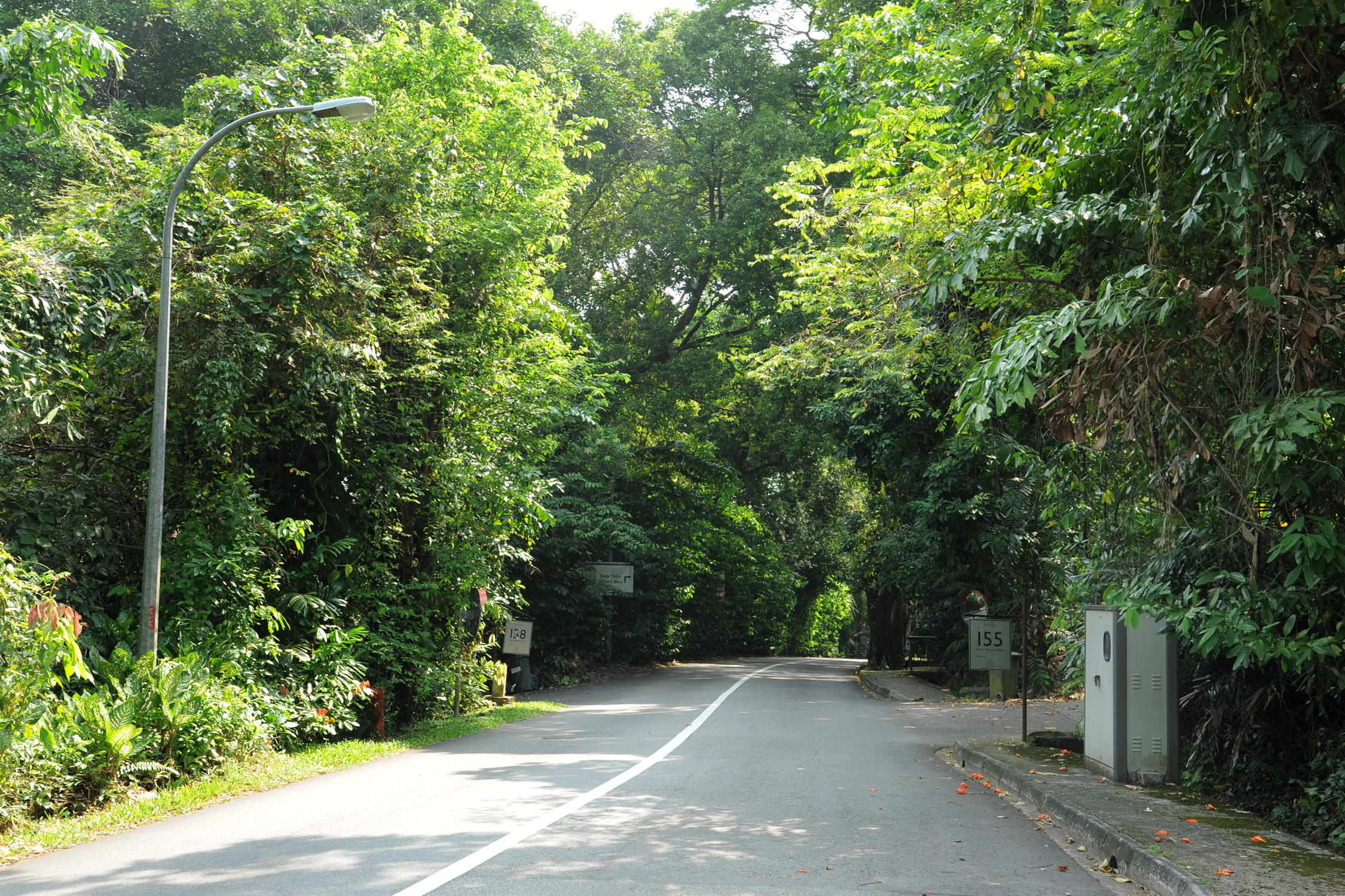 Mount Pleasant Road