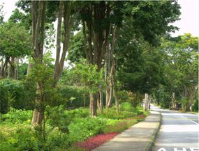 Nature Way