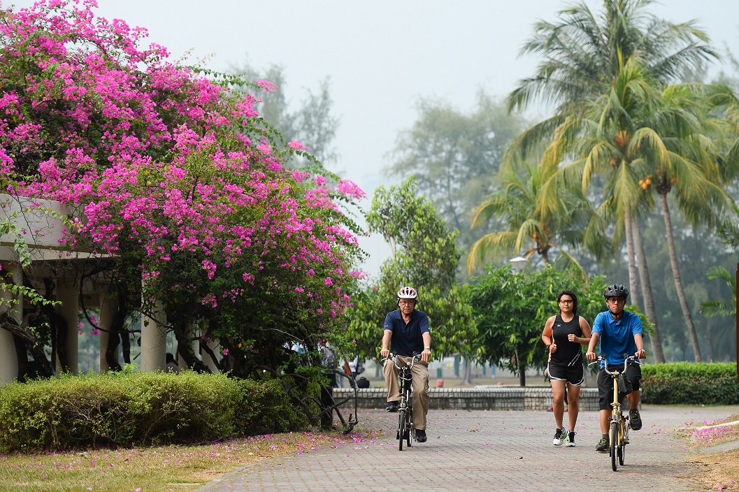 Park Connector Network - Gardens, Parks & Nature - National Parks ...