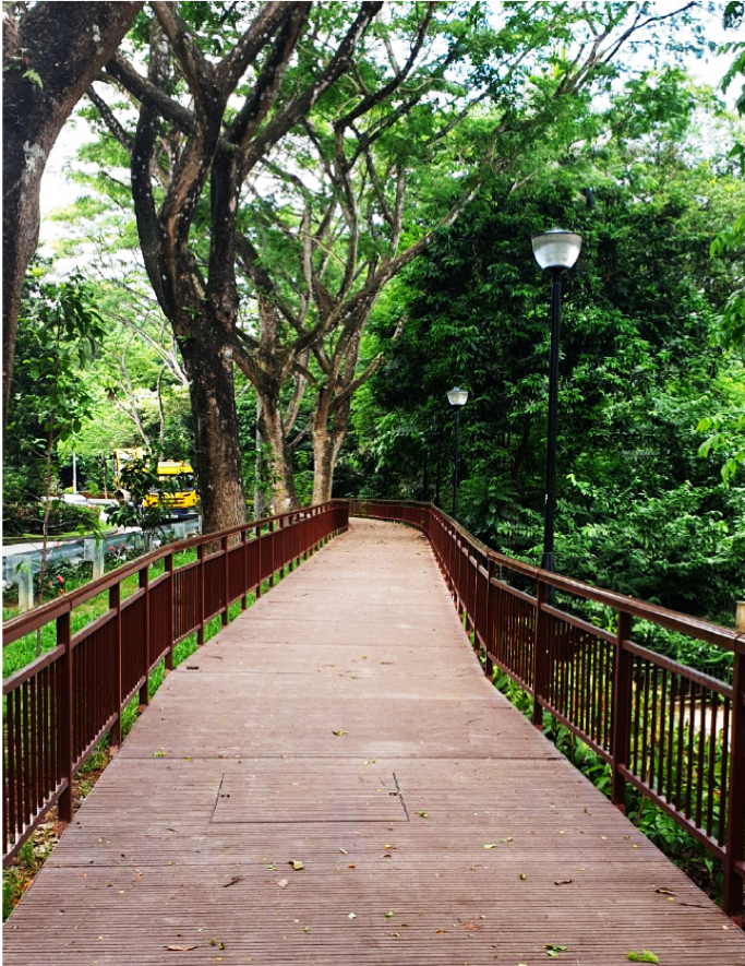 Footpath at Adam PC