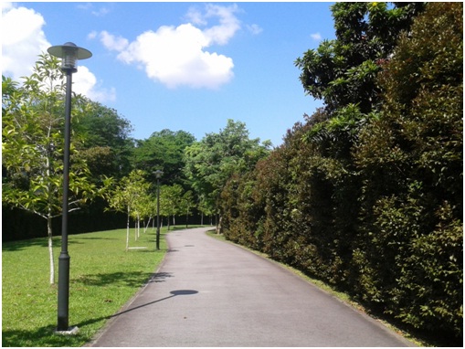 Alexandra Canal Linear Park Connector