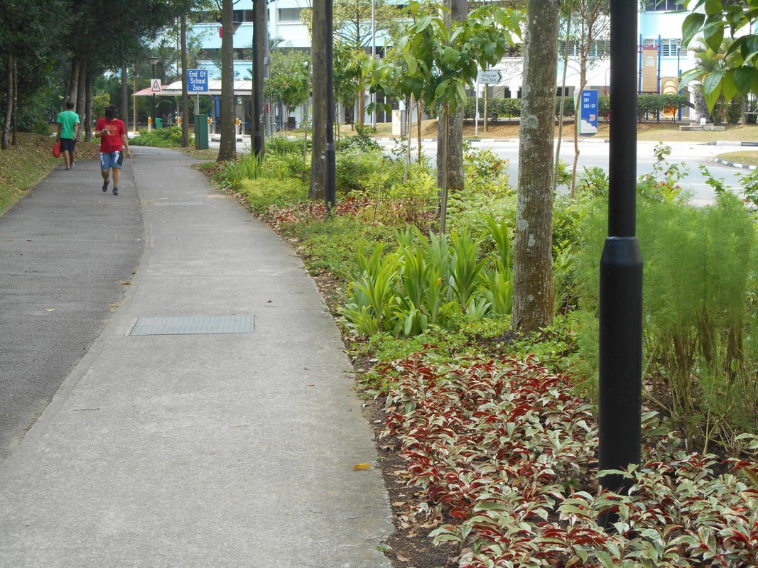 Bukit Batok East Park Connector