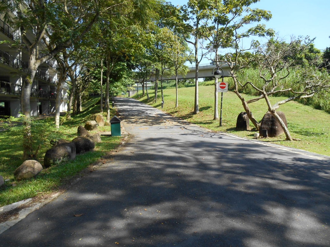 Bukit Panjang Park Connector