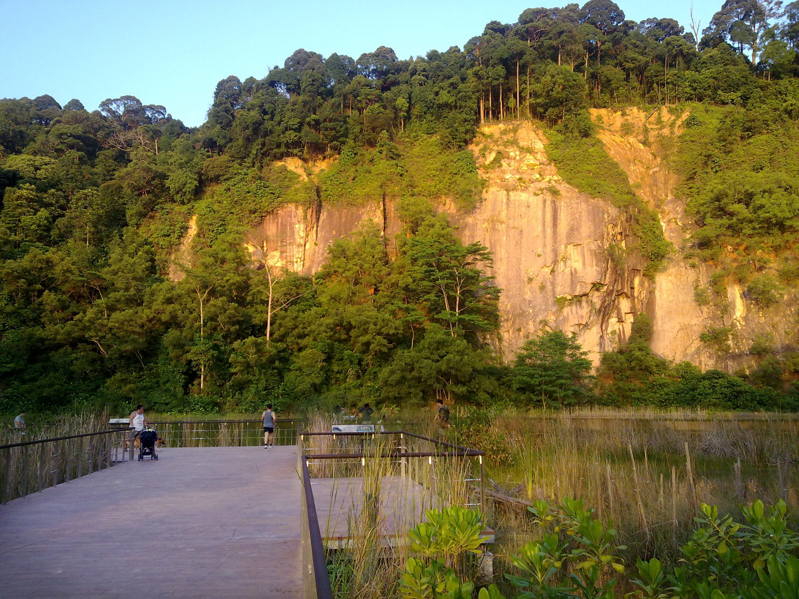 Nature Hike Explore Nature Areas near Bukit Timah Nature Reserve (11