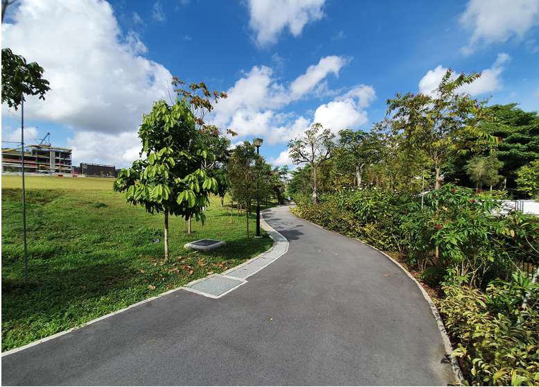 Footpath at Dairy Farm PC