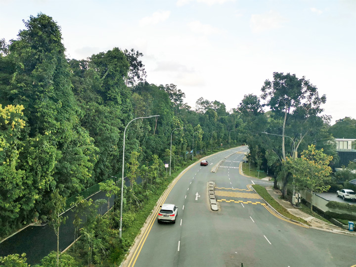 Lornie Nature Corridor