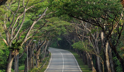 Mandai Road