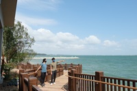 bridge