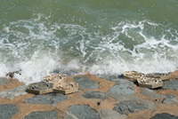 marine tiles