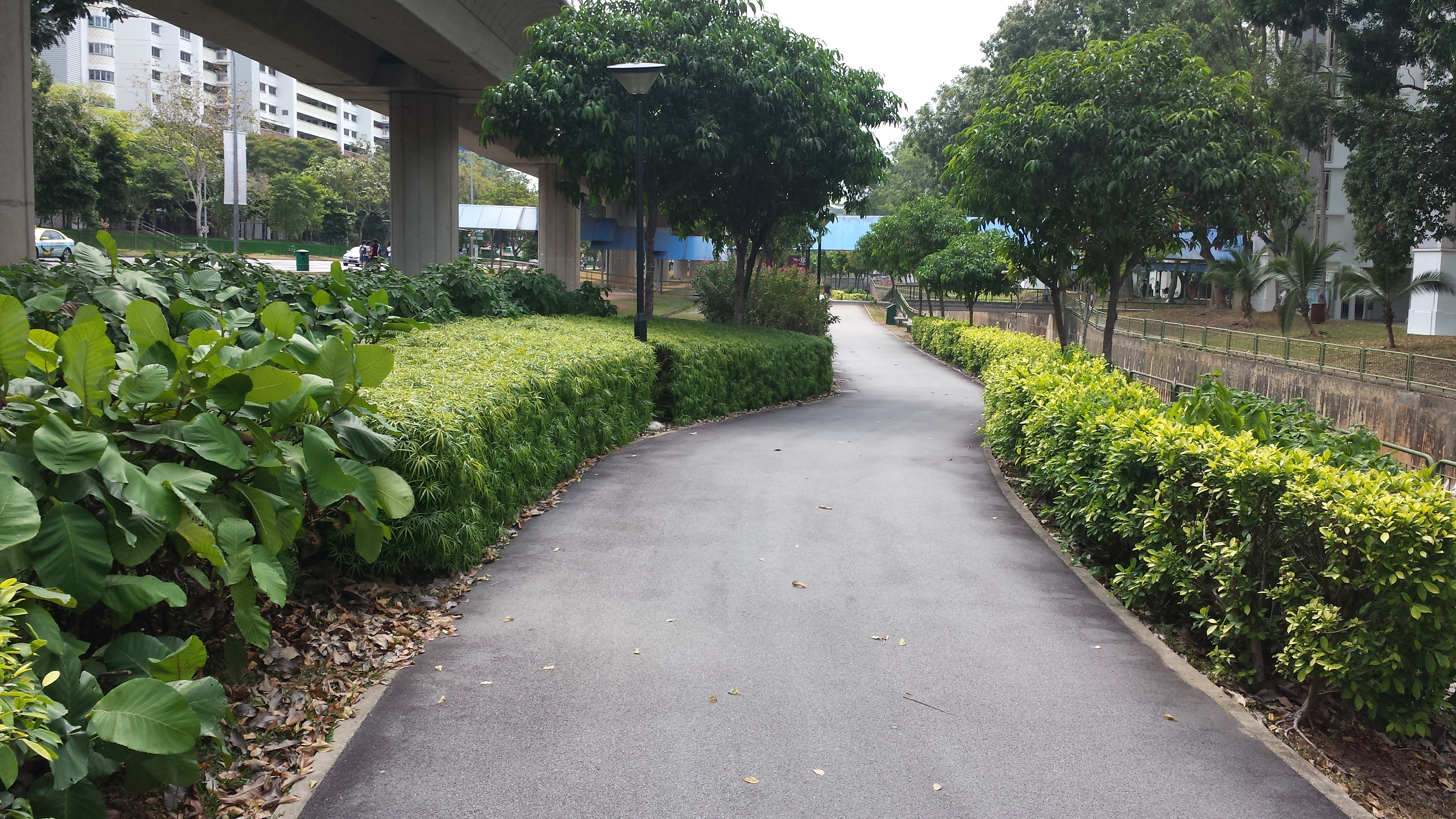 Woodlands Avenue 3 Park Connector