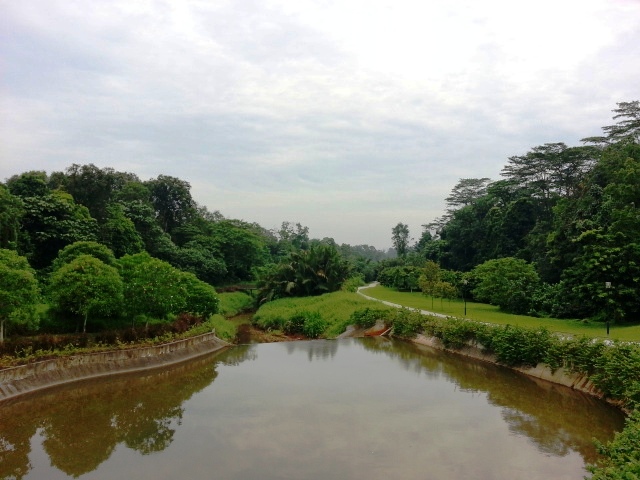 Admiralty Park Pond