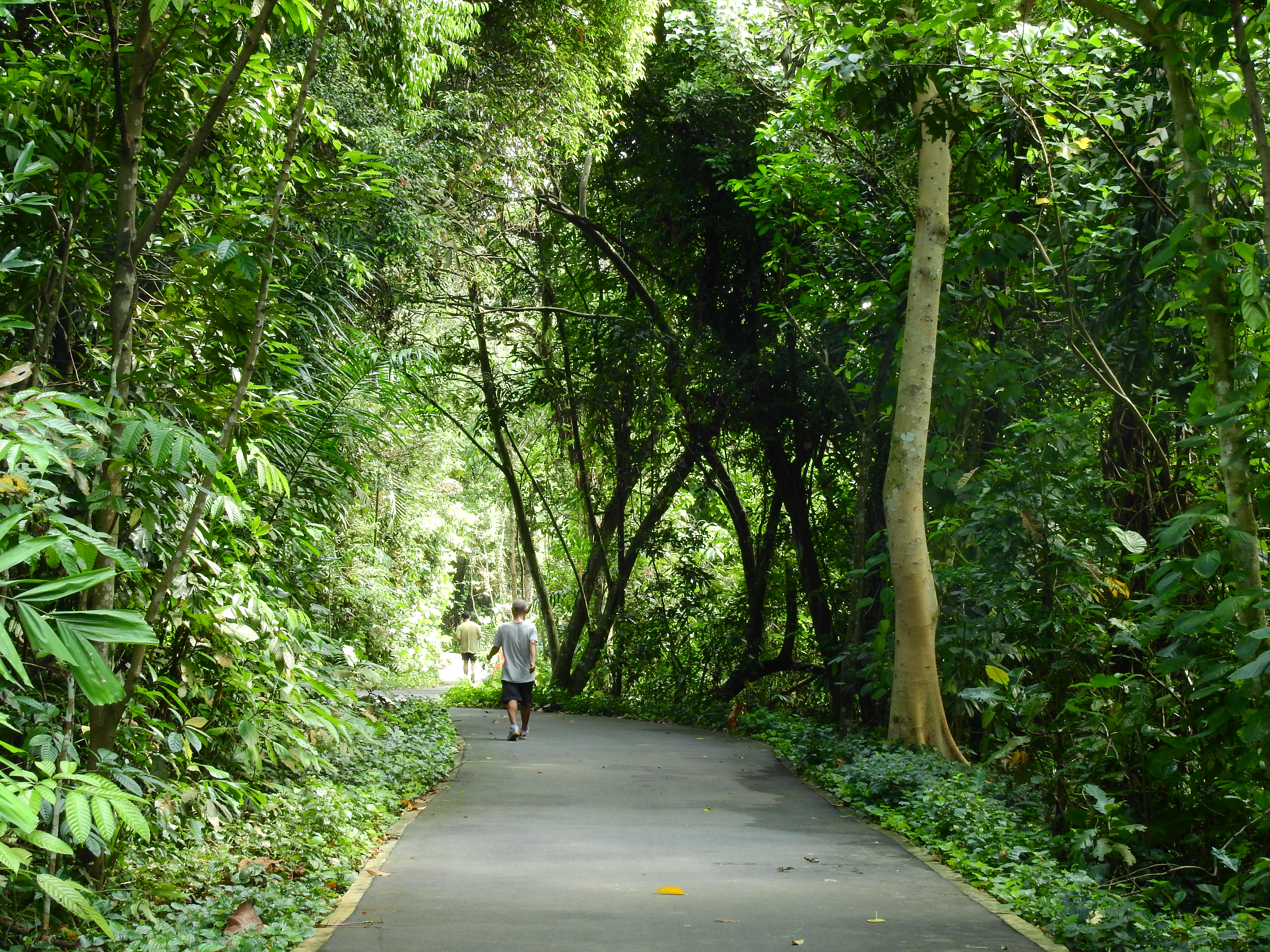 Jogging at Admiralty Park