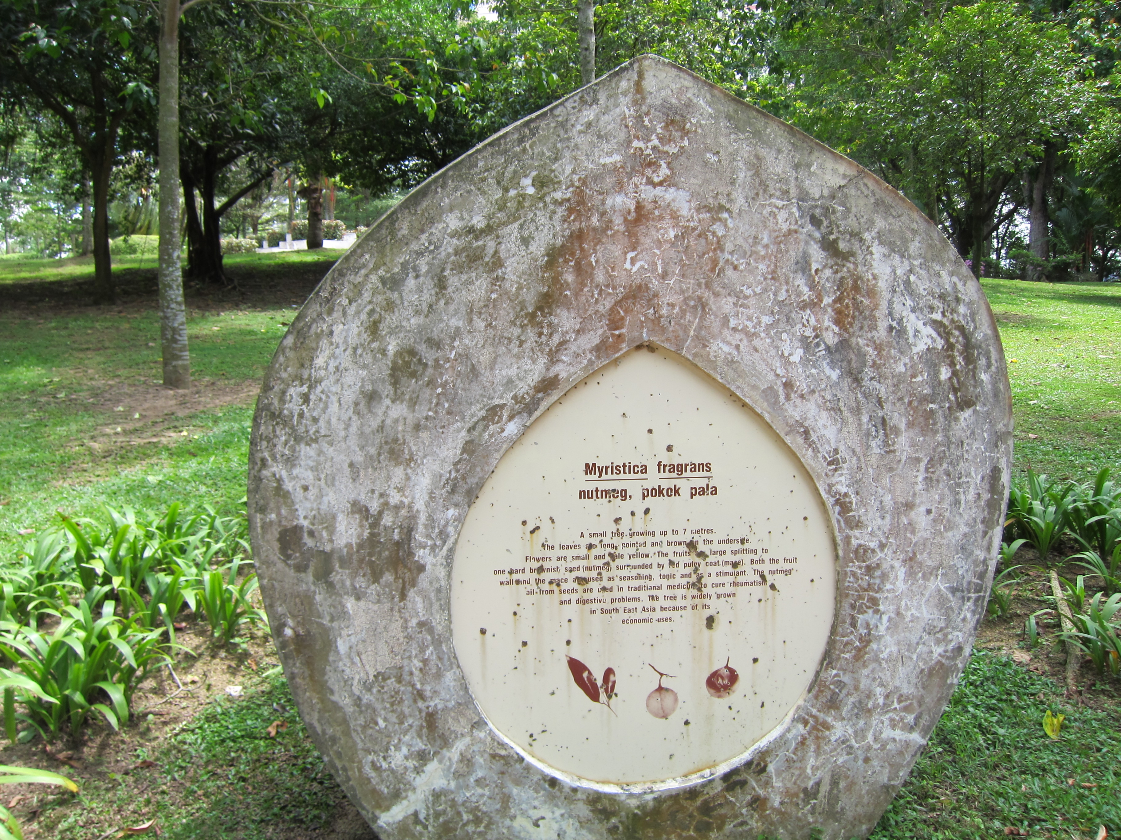 ang mo kio town garden east