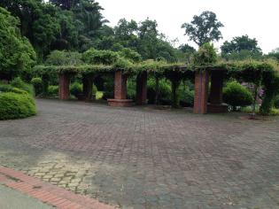 Ang Mo Kio Town Garden Pondside Pergola