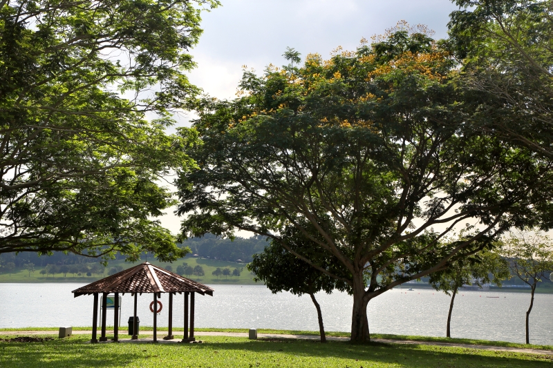 Bedok Reservoir Park - Parks & Nature Reserves - Gardens, Parks & Nature - National Parks Board (NParks)