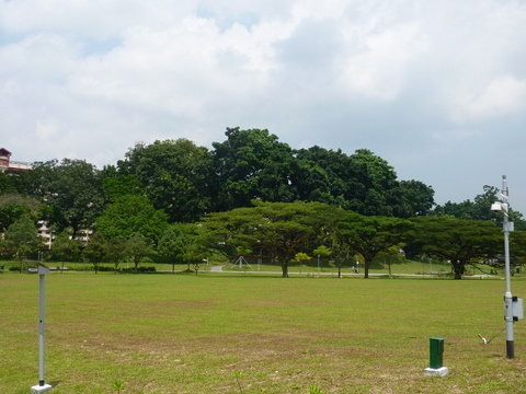 Grand Lawn II at Bishan-Ang Mo Kio Park River Plains