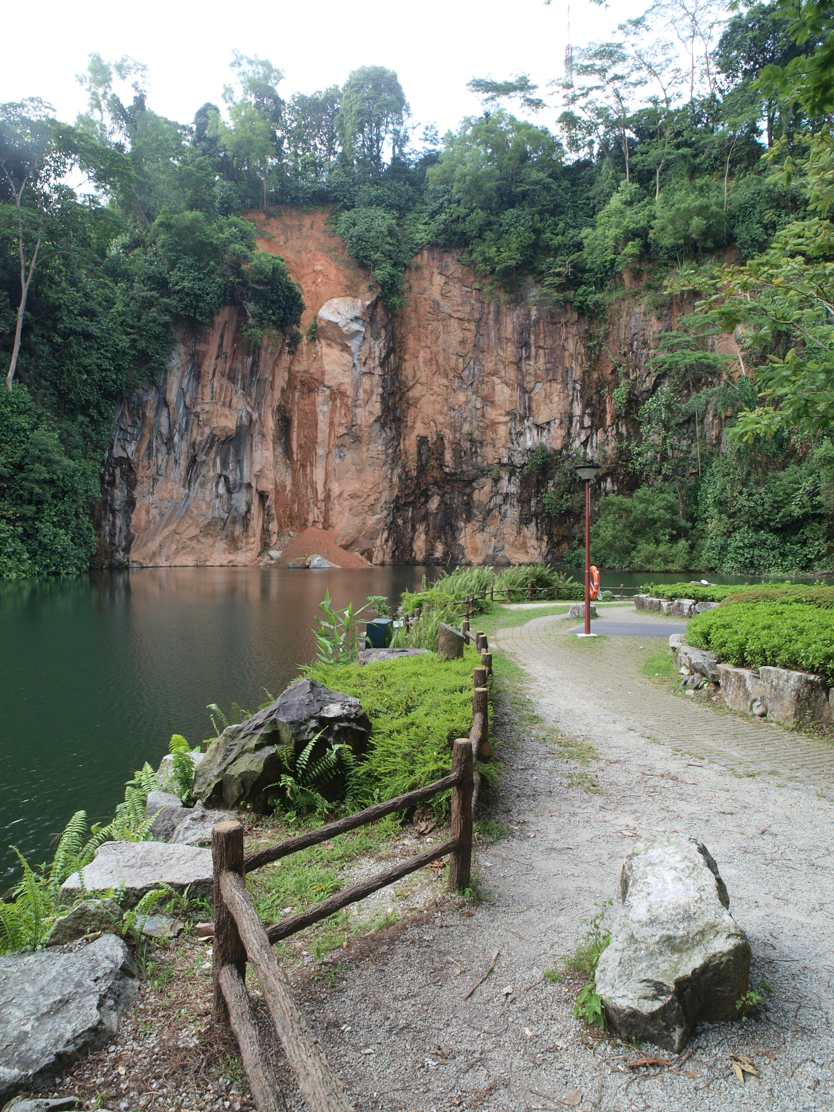 Exploring Singapores Hidden Gem: A Comprehensive Guide to Bukit Batok Nature Park