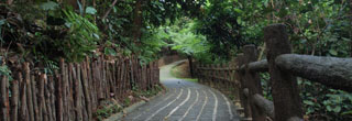Bukit Batok Nature Park