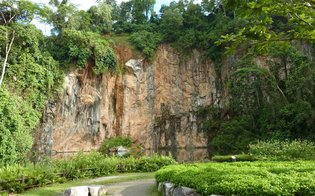 BBNP