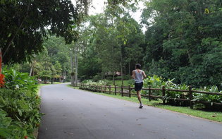 Jogging along paths in Bukit Batok Nature Park