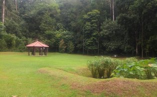 BBNP