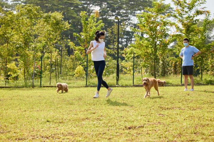 Dog Run__Bukit Gombak Park_Photo Credits NParks