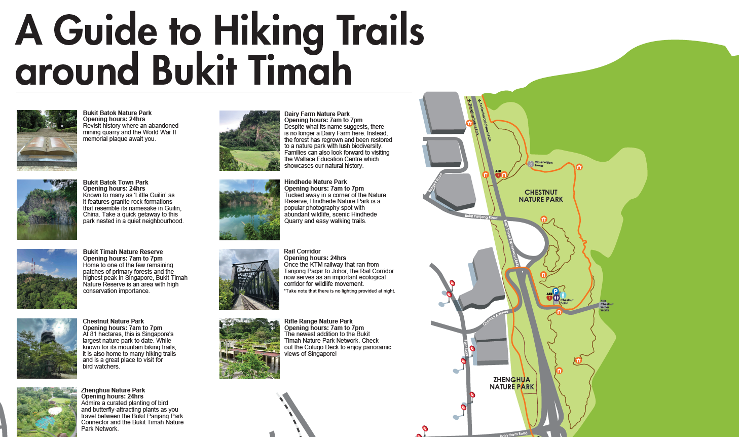 A Guide to Hiking Trails around Bukit Timah
