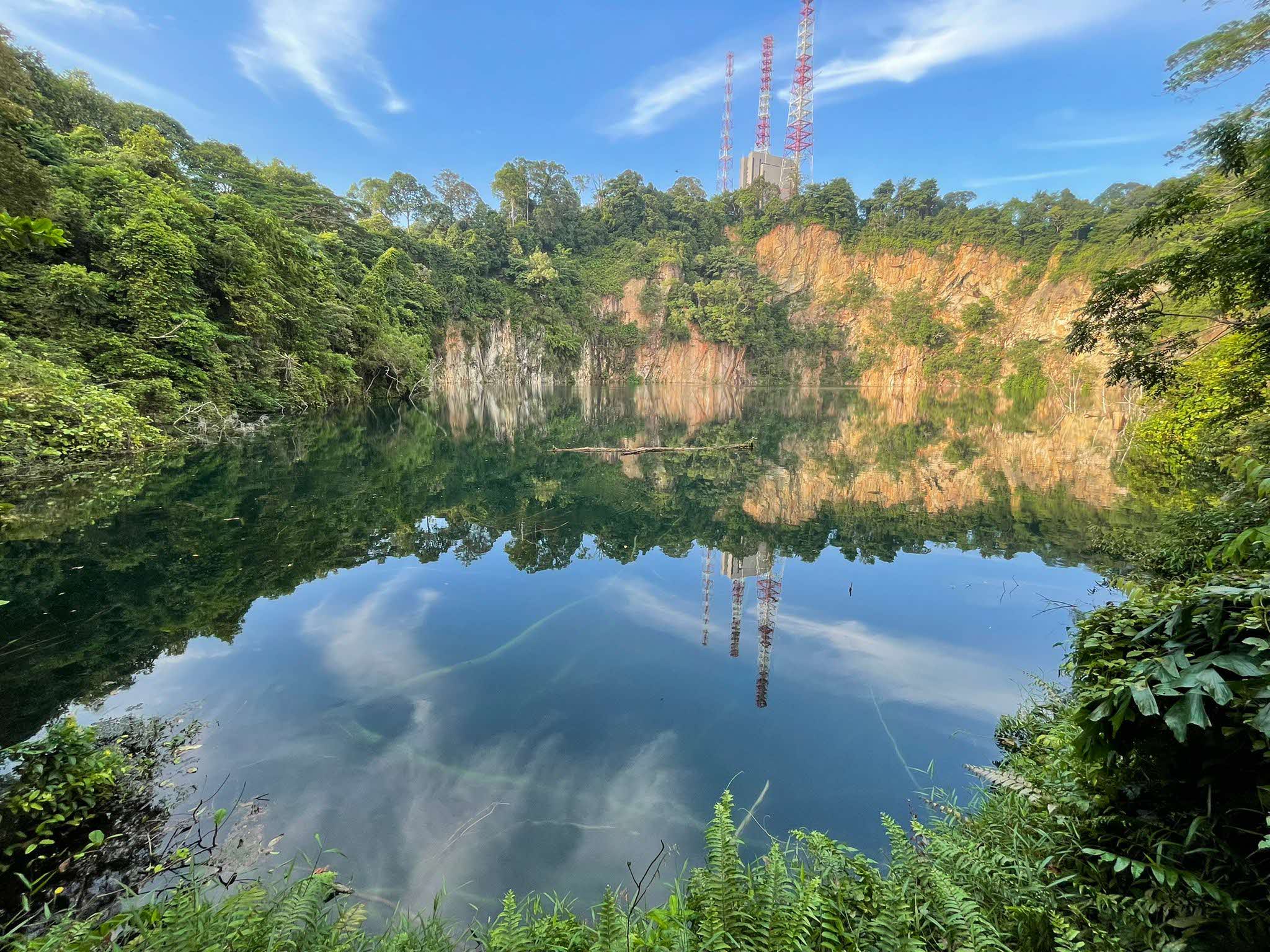 A Family Guide to Bukit Timah Hill & Hindhede Nature Park: Uncover the Natural Wonders This Park