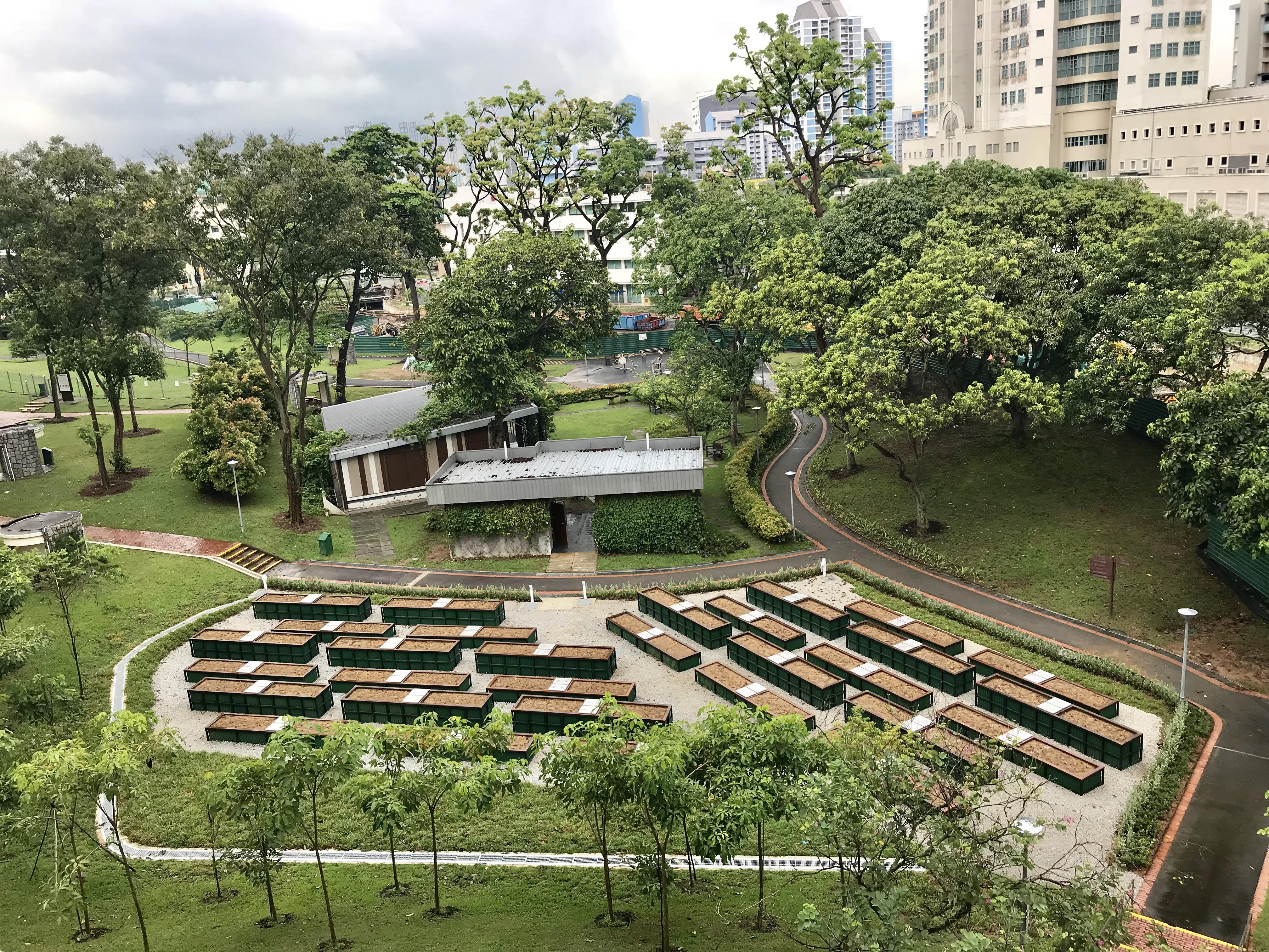 Allotment Gardens at Clementi Woods Park
