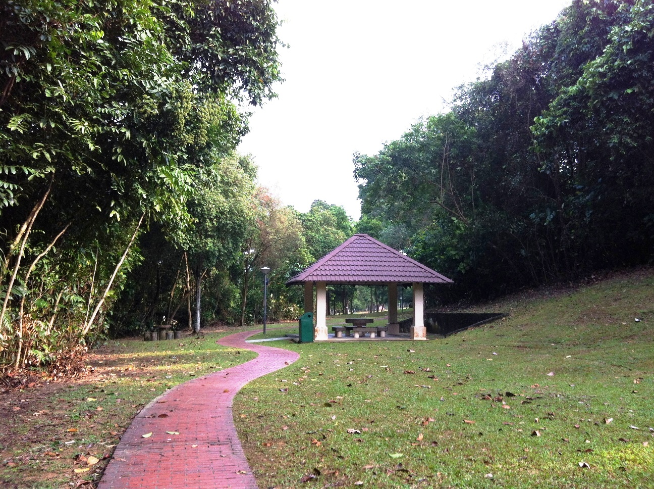 Clementi Woods