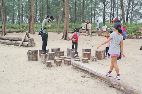Casuarina Exploration- Coney Island Park
