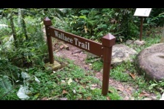 Wallace Trail