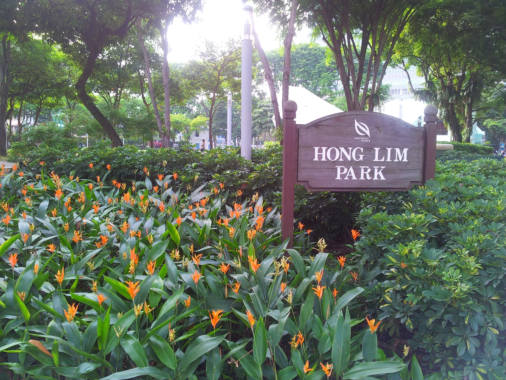 Hong Lim Park Speakers Corner Parks Nature Reserves Gardens Parks Nature National Parks Board Nparks