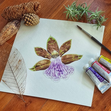 Orchid Watercolour