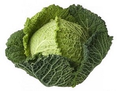 cabbage