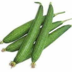 luffa