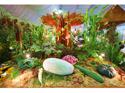 Gardening with Edibles
