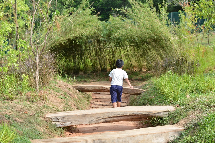 Nature Playgarden at HortPark