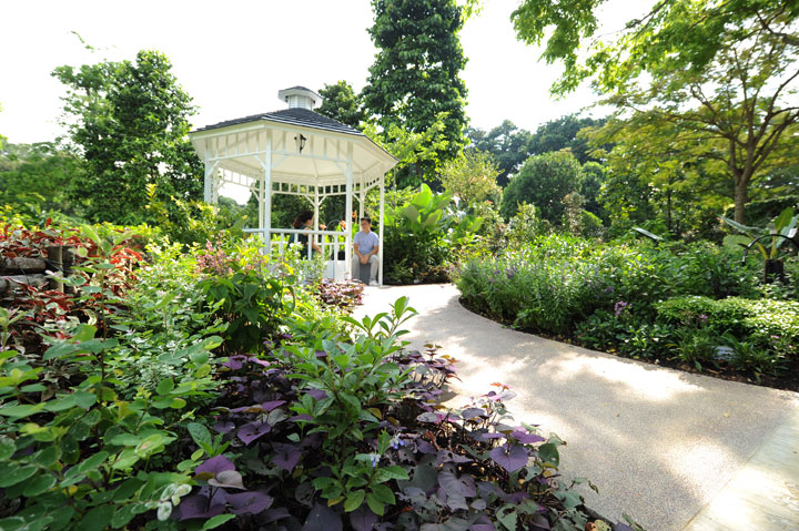 Therapeutic Gardens at HortPark