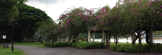 Kallang Riverside Park