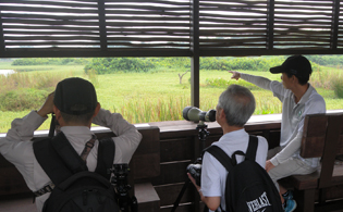 KM guided walk