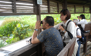 KM birdwatching