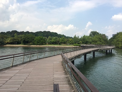 Labrador Berlayer Creek Boardwalk