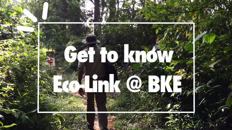 Get to know Eco-link@BKE