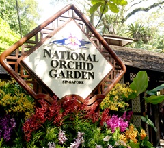 Singapore Botanic Gardens - National Orchid Garden
