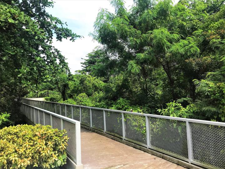 onp fusionopolis south bird watching boardwalk