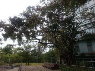 One North Park