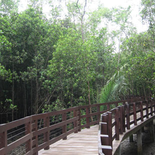 pasir ris