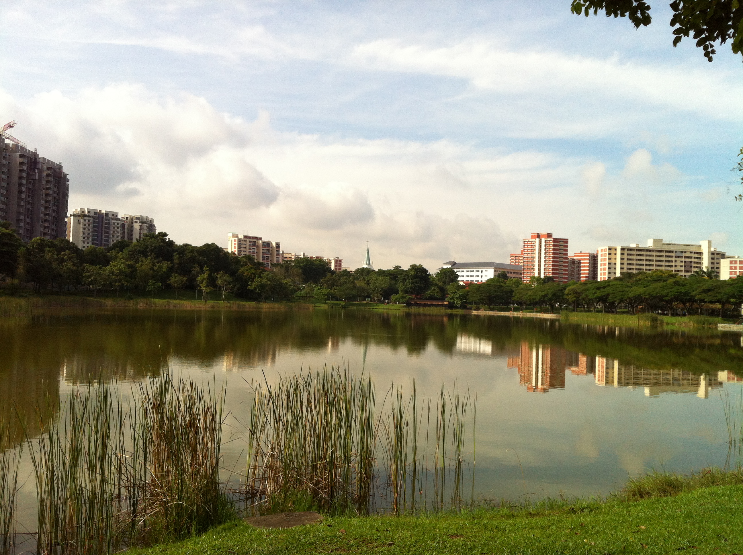 Fishing @ Punggol